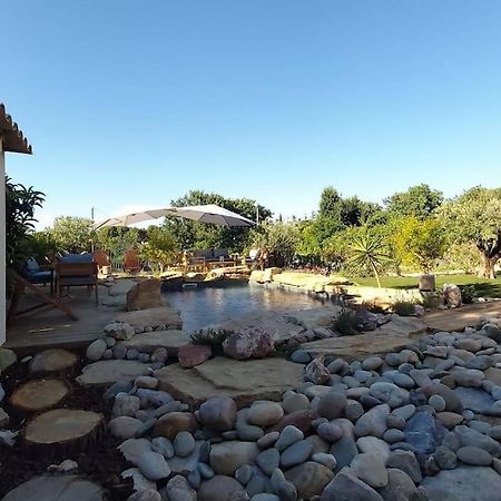 Une Oasis Au Pays De Cezanne Экс-ан-Прованс Экстерьер фото