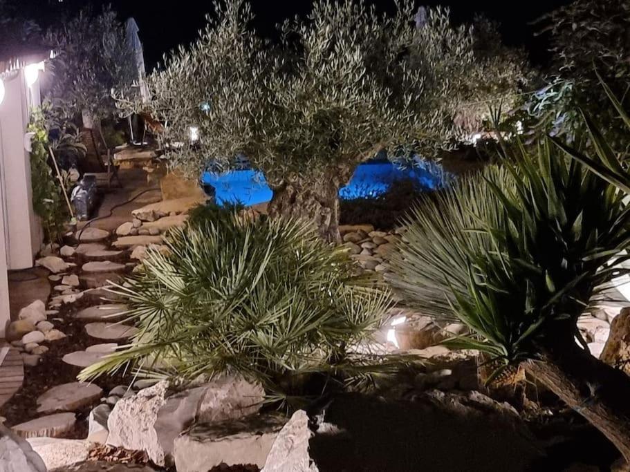 Une Oasis Au Pays De Cezanne Экс-ан-Прованс Экстерьер фото